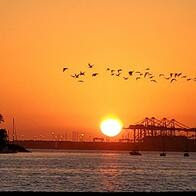 Long Beach CA sunset copy
